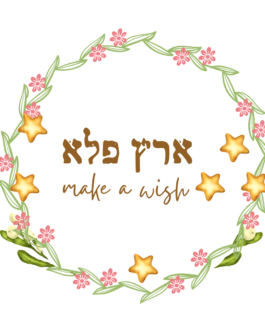הכשרת מנחים Make a wish